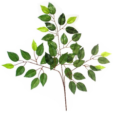Load image into Gallery viewer, 60cm Artificial Green Ficus Branch W/42 Lvs x 12 Stems