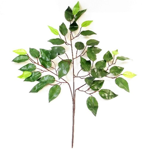 60cm Artificial Green Ficus Branch W/42 Lvs x 12 Stems