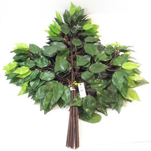 Load image into Gallery viewer, 60cm Artificial Green Ficus Branch W/42 Lvs x 12 Stems