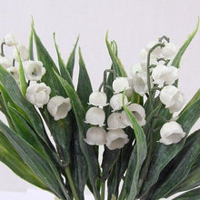 Load image into Gallery viewer, 26 cm Plastic Lily Of The Valley Bundle
