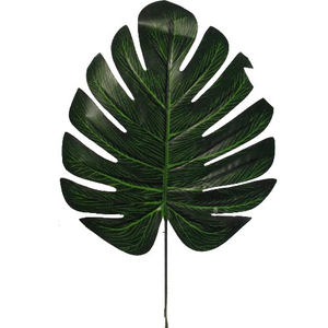36 cm Artificial Small Philo Leaf x 6