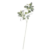 Load image into Gallery viewer, 70cm Green Lambs Ear - Artificial Greenery Single Stem