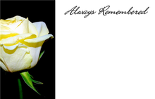 Load image into Gallery viewer, Small Tribute Message Card Cards - Variety of Messages.