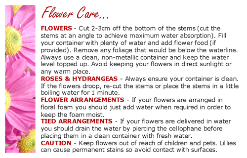 50 x Small Care Cards - Flower Care for your Fresh Flowers
