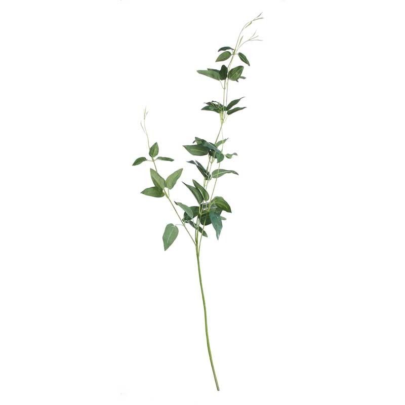 70cm Oriental Ruscus Green - Greenery Artificial Leaf Spray