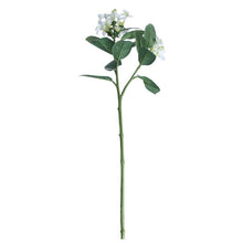 Load image into Gallery viewer, 60cm White Stephanotis Artificial Single Stem - 2 Heads