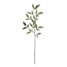 Load image into Gallery viewer, 74cm Realistic Single Stem Ruscus Spray - Artificial Greenery