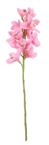 80cm Artificial Large Pink Cymbidium Orchid Single Stem