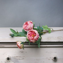 Load image into Gallery viewer, Pink Vintage English Rose Spray 69 cm - Artificial Flower
