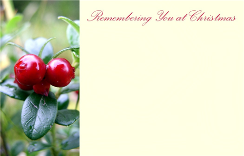 50 x Xmas Berry Card - Remembering You At Christmas Decoration Floral Design