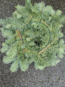 Fresh Plain English Spruce Wreaths - CLICK AND COLLECT ONLY