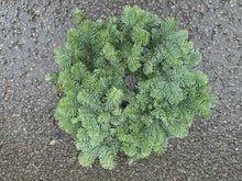 Load image into Gallery viewer, Fresh Plain English Spruce Wreaths - CLICK AND COLLECT ONLY
