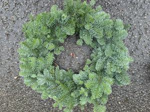 Fresh Plain English Spruce Wreaths - CLICK AND COLLECT ONLY