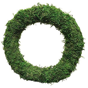 1 x 10" Moss Ring - Christmas Decoration Wreath